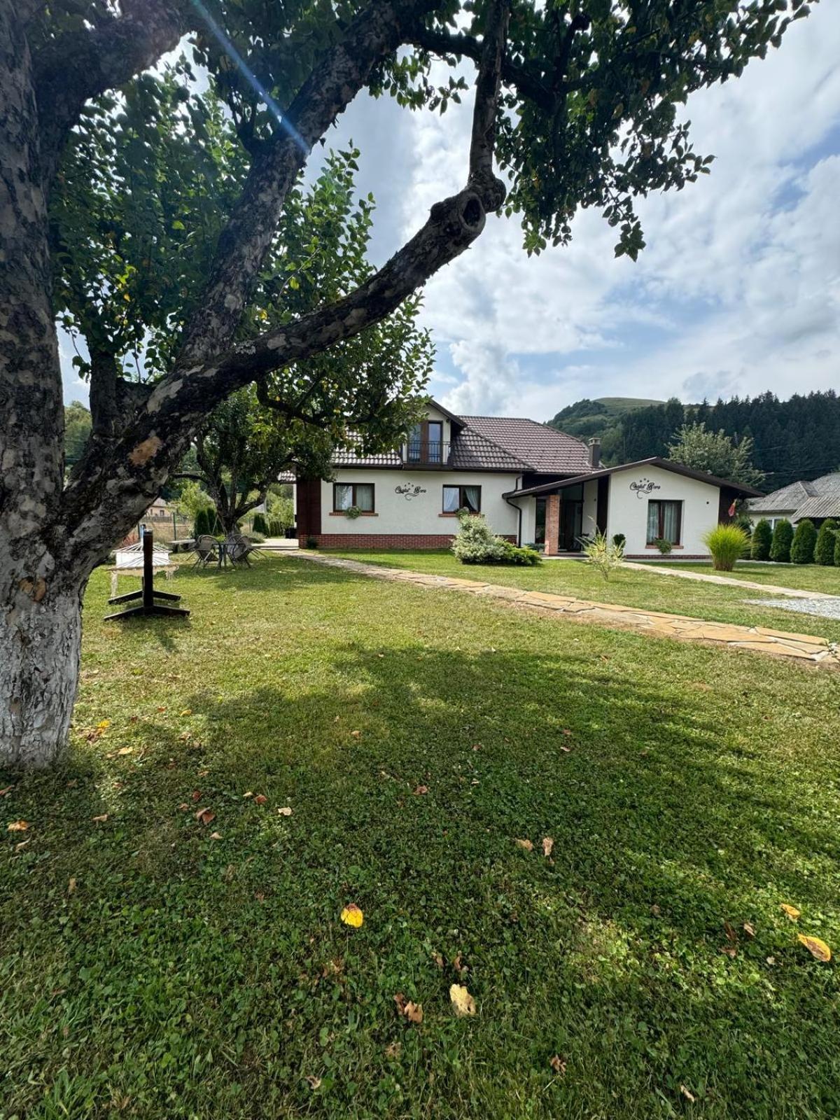 Chalet Bora Viseu de Jos Exterior foto