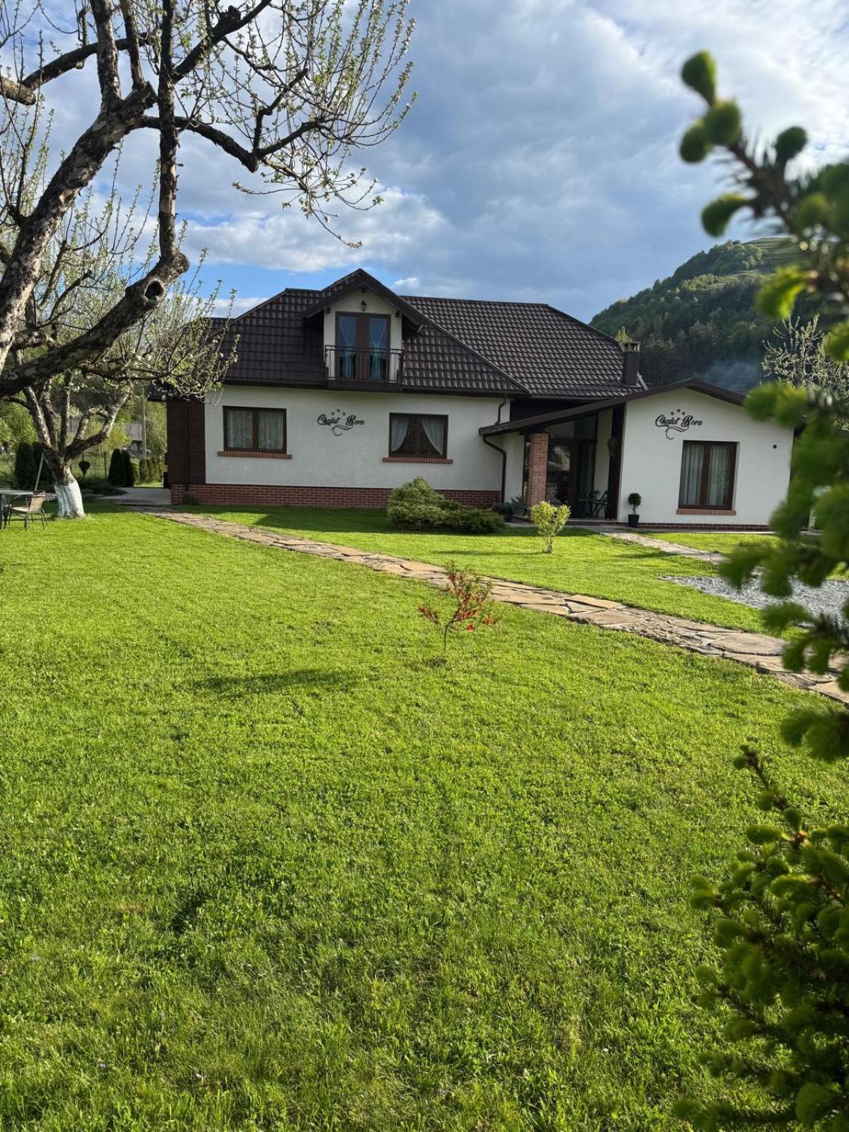 Chalet Bora Viseu de Jos Exterior foto
